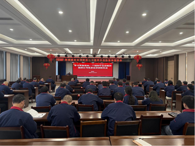 公司召開(kāi)學(xué)習(xí)貫徹黨的二十屆四中全會(huì)精神宣講會(huì)